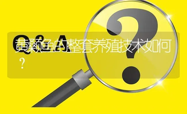 黄颡鱼的整套养殖技术如何? | 养殖问题解答