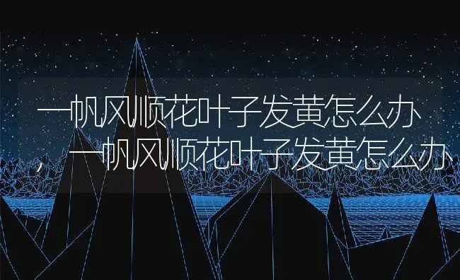 一帆风顺花叶子发黄怎么办,一帆风顺花叶子发黄怎么办 | 养殖常见问题