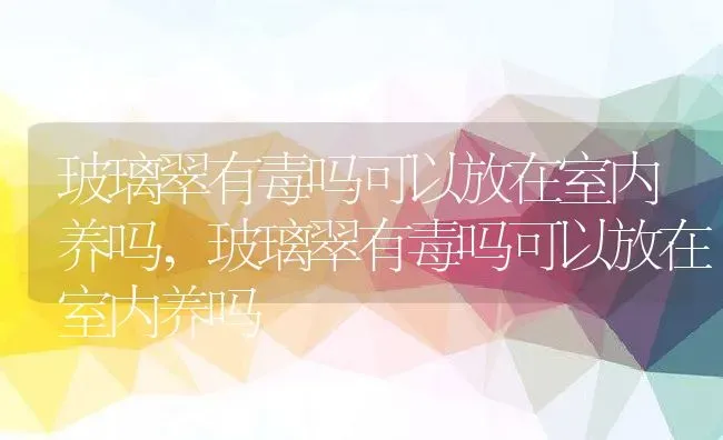 玻璃翠有毒吗可以放在室内养吗,玻璃翠有毒吗可以放在室内养吗 | 养殖常见问题