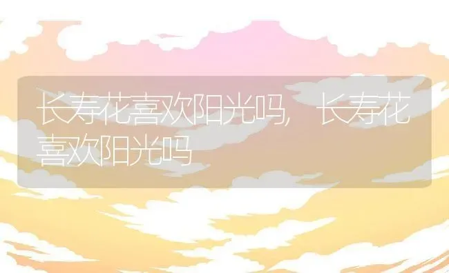 长寿花喜欢阳光吗,长寿花喜欢阳光吗 | 养殖常见问题