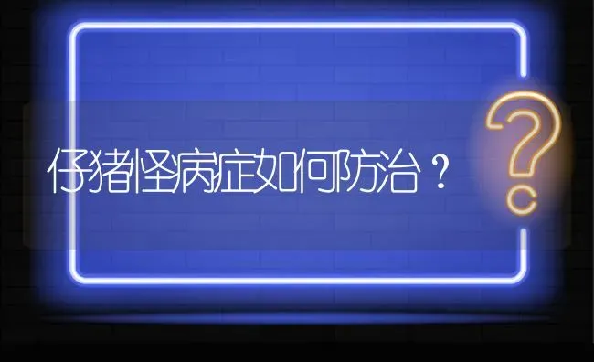 仔猪怪病症如何防治? | 养殖问题解答