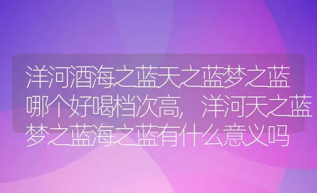 洋河酒海之蓝天之蓝梦之蓝哪个好喝档次高,洋河天之蓝梦之蓝海之蓝有什么意义吗 | 养殖常见问题