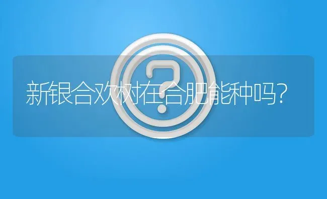 新银合欢树在合肥能种吗? | 养殖问题解答