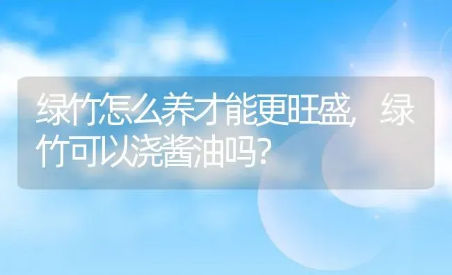 绿竹怎么养才能更旺盛,绿竹可以浇酱油吗？ | 养殖常见问题