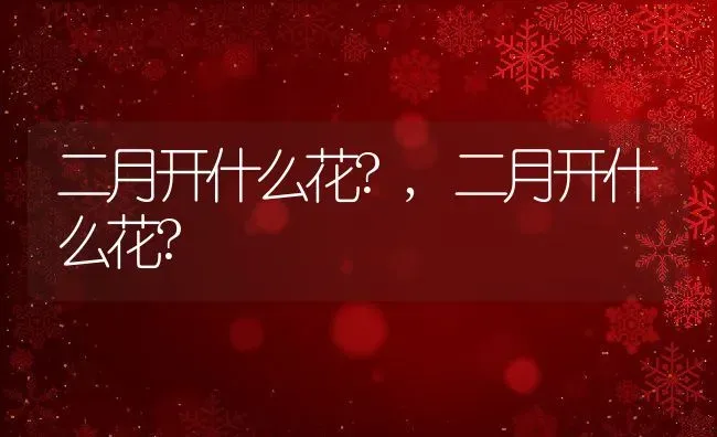 二月开什么花?,二月开什么花? | 养殖常见问题