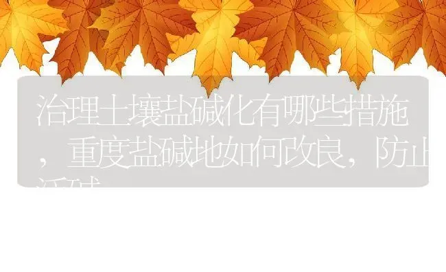 治理土壤盐碱化有哪些措施,重度盐碱地如何改良,防止泛碱 | 养殖常见问题