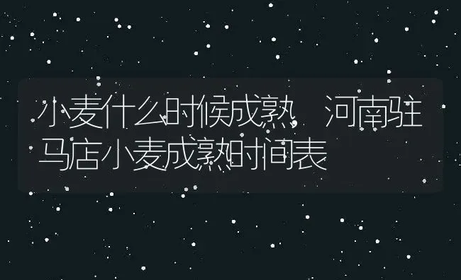小麦什么时候成熟,河南驻马店小麦成熟时间表 | 养殖常见问题