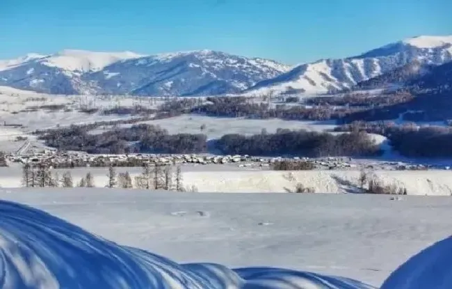 植物常识问题|大范围雨雪即将重启又要来了 新一轮大范围雨雪再度来袭