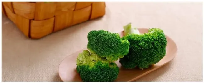 春季露地西兰花种植技术 | 三农答疑