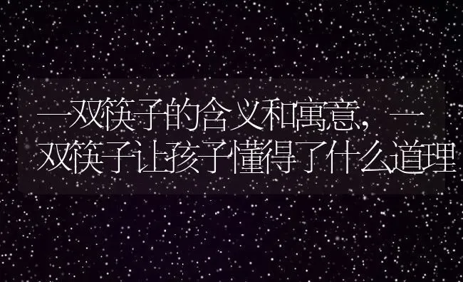 一双筷子的含义和寓意,一双筷子让孩子懂得了什么道理 | 养殖常见问题
