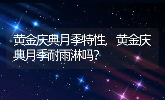 黄金庆典月季特性,黄金庆典月季耐雨淋吗？ | 养殖常见问题