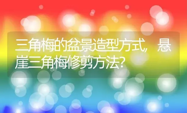 三角梅的盆景造型方式,悬崖三角梅修剪方法？ | 养殖常见问题