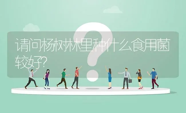 请问杨树林里种什么食用菌较好? | 养殖问题解答