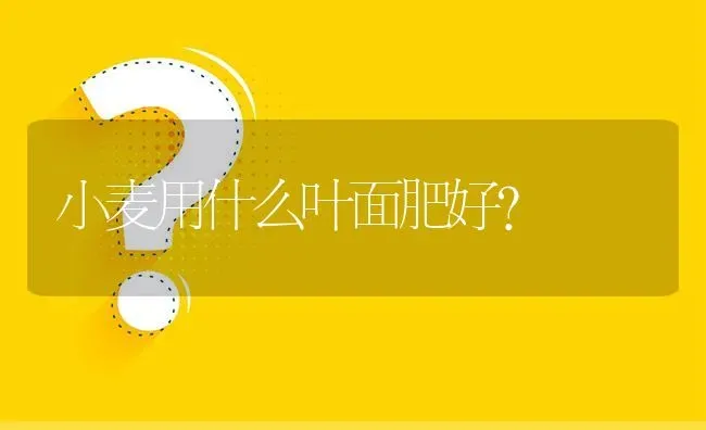 小麦用什么叶面肥好? | 养殖问题解答