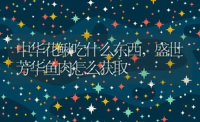 中华花鳅吃什么东西,盛世芳华鱼肉怎么获取 | 养殖常见问题