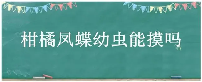 柑橘凤蝶幼虫能摸吗 | 农业常识