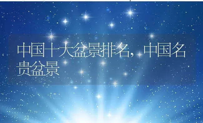 中国十大盆景排名,中国名贵盆景 | 养殖常见问题