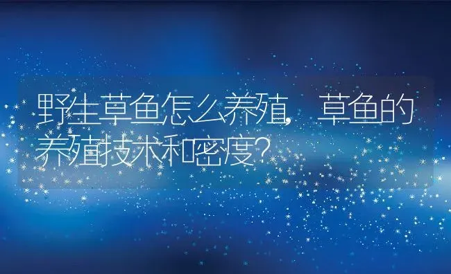 野生草鱼怎么养殖,草鱼的养殖技术和密度？ | 养殖常见问题