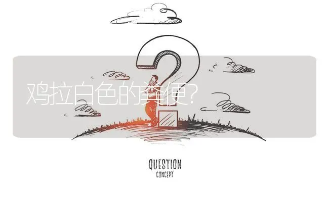 鸡拉白色的粪便? | 养殖问题解答