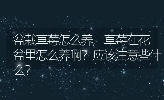 盆栽草莓怎么养,草莓在花盆里怎么养啊？应该注意些什么？ | 养殖常见问题