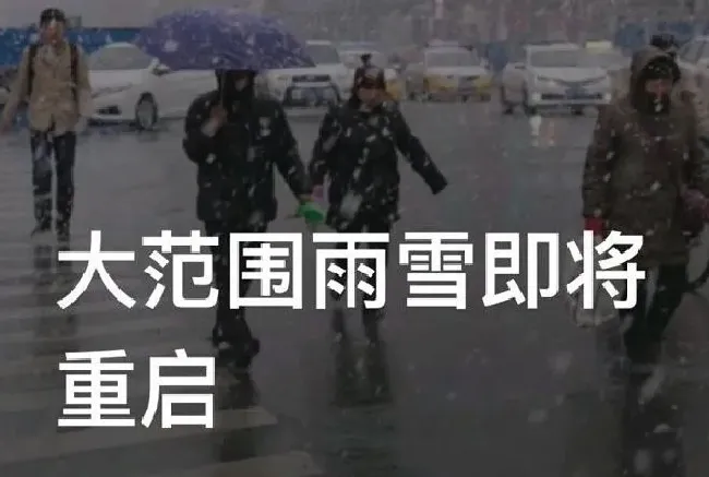 植物常识问题|大范围雨雪即将重启又要来了 新一轮大范围雨雪再度来袭