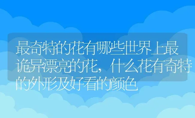 最奇特的花有哪些世界上最诡异漂亮的花,什么花有奇特的外形及好看的颜色 | 养殖常见问题