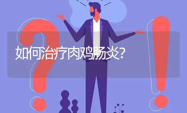 如何治疗肉鸡肠炎? | 养殖问题解答