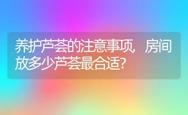 养护芦荟的注意事项,房间放多少芦荟最合适？ | 养殖常见问题