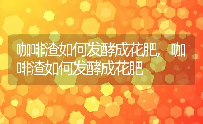 咖啡渣如何发酵成花肥,咖啡渣如何发酵成花肥 | 养殖常见问题