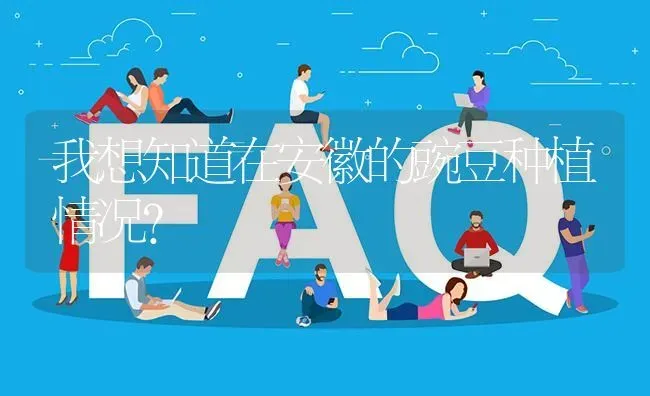 我想知道在安徽的豌豆种植情况? | 养殖问题解答
