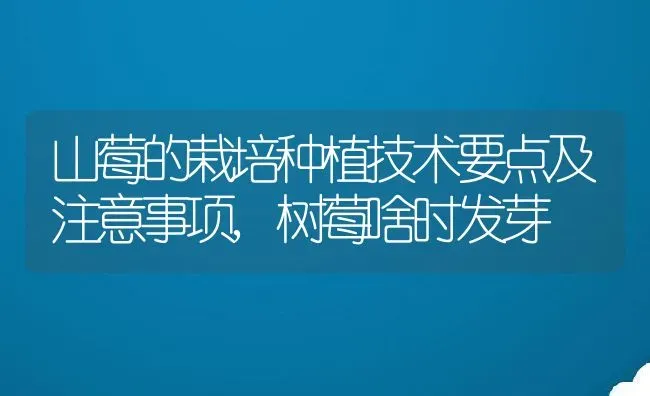 山莓的栽培种植技术要点及注意事项,树莓啥时发芽 | 养殖常见问题