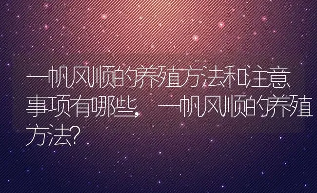 一帆风顺的养殖方法和注意事项有哪些,一帆风顺的养殖方法？ | 养殖常见问题