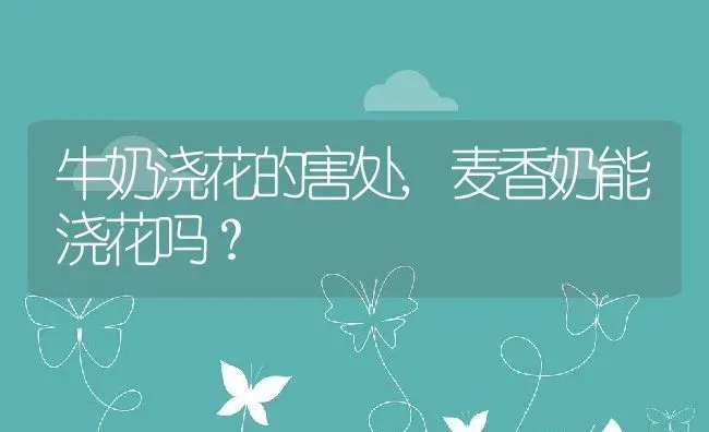 牛奶浇花的害处,麦香奶能浇花吗？ | 养殖常见问题