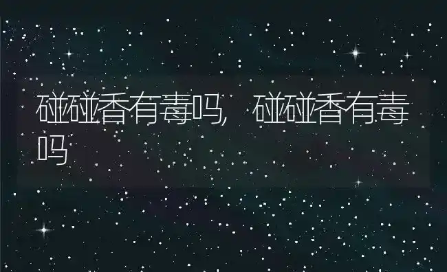 碰碰香有毒吗,碰碰香有毒吗 | 养殖常见问题