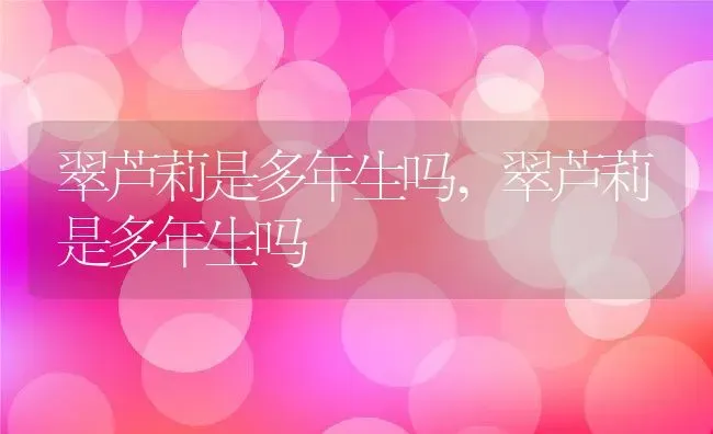 翠芦莉是多年生吗,翠芦莉是多年生吗 | 养殖常见问题