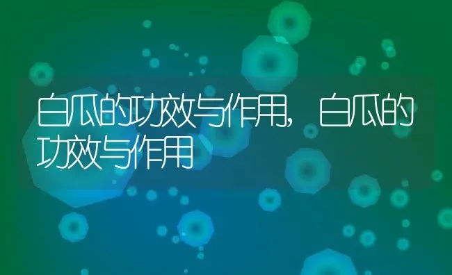 白瓜的功效与作用,白瓜的功效与作用 | 养殖常见问题