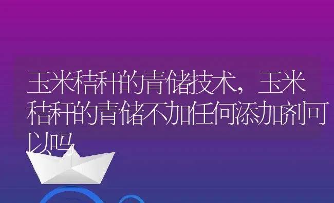 玉米秸秆的青储技术,玉米秸秆的青储不加任何添加剂可以吗 | 养殖常见问题