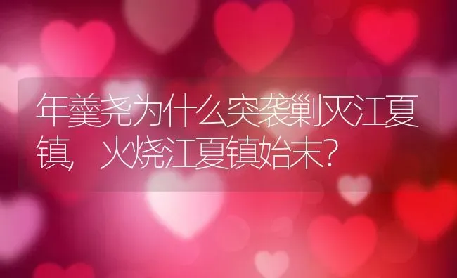 年羹尧为什么突袭剿灭江夏镇,火烧江夏镇始末？ | 养殖常见问题