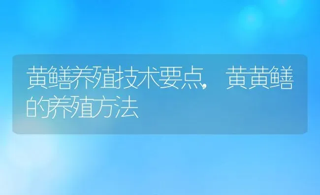 黄鳝养殖技术要点,黄黄鳝的养殖方法 | 养殖常见问题