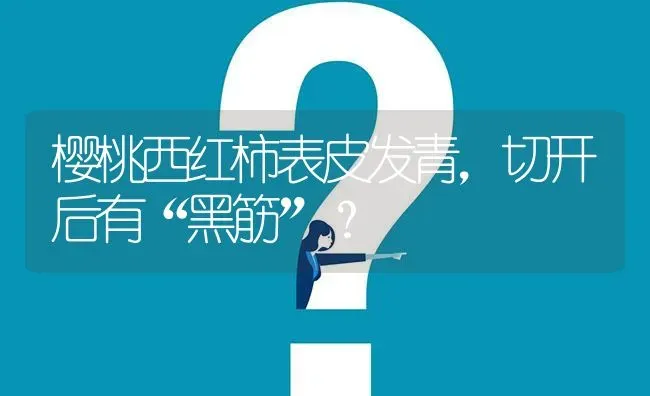 樱桃西红柿表皮发青,切开后有“黑筋”? | 养殖问题解答