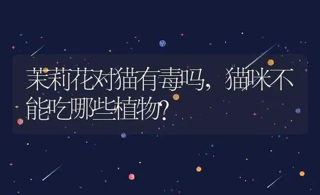 茉莉花对猫有毒吗,猫咪不能吃哪些植物？ | 养殖常见问题