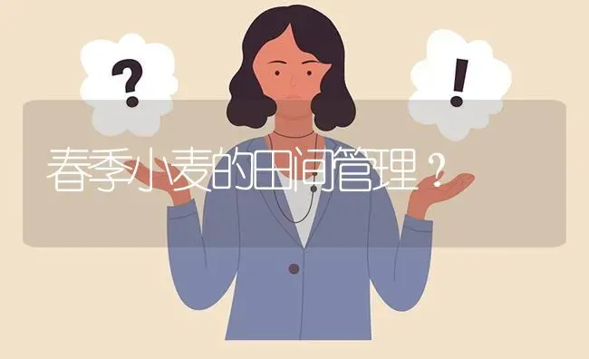 春季小麦的田间管理? | 养殖问题解答