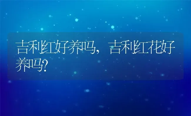 吉利红好养吗,吉利红花好养吗？ | 养殖常见问题