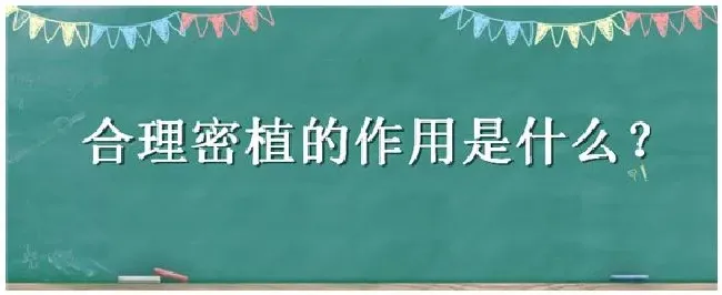 合理密植的作用是什么 | 三农答疑