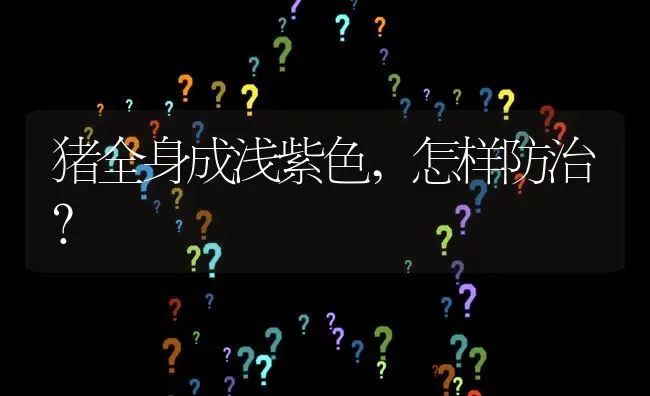 猪全身成浅紫色,怎样防治? | 养殖问题解答