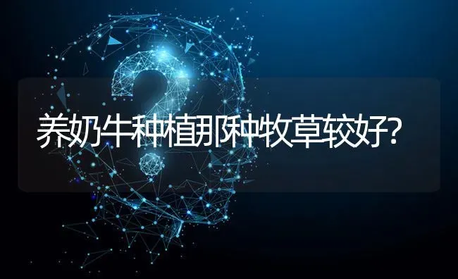养奶牛种植那种牧草较好? | 养殖问题解答