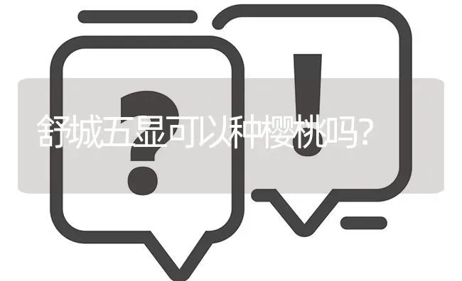 舒城五显可以种樱桃吗? | 养殖问题解答