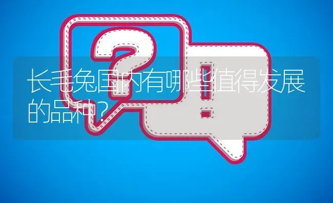 长毛兔国内有哪些值得发展的品种? | 养殖问题解答