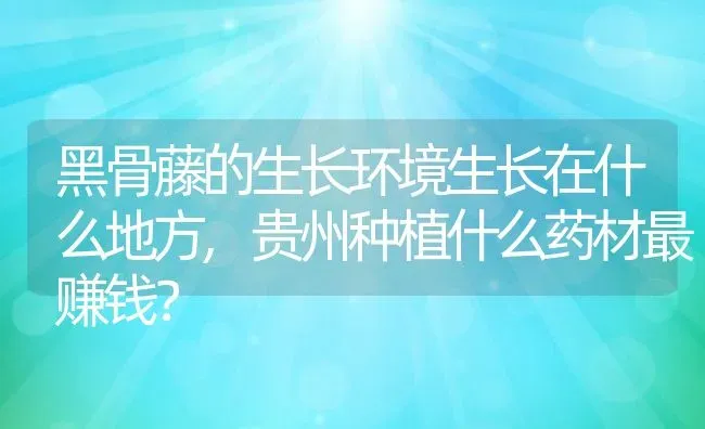 黑骨藤的生长环境生长在什么地方,贵州种植什么药材最赚钱？ | 养殖常见问题