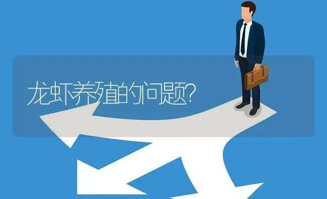 龙虾养殖的问题? | 养殖问题解答